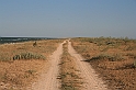 Karpaty+Krym 06.2007 250